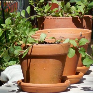 Terracotta Pots, Glazed & Stone Products