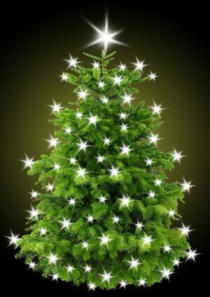 Lights